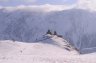 DSC_9552.jpg - 